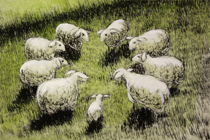 Schafkreis S 6/20, Kaltnadelradierung handcoloriert, 15 x 10 cm auf ca. 27 x 19 cm Büttenpapier 80 €